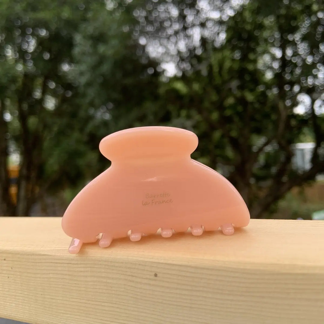 Small Hair Claw Clip