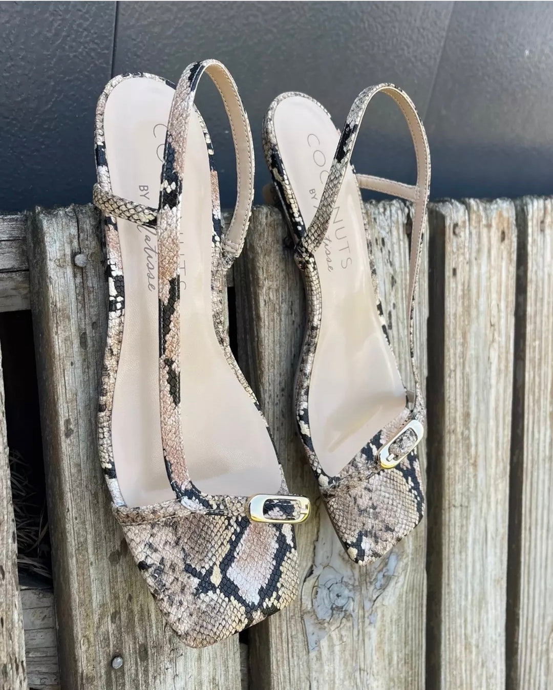 Coconuts by Matisse Fernando Heel Snake (FINAL SALE)