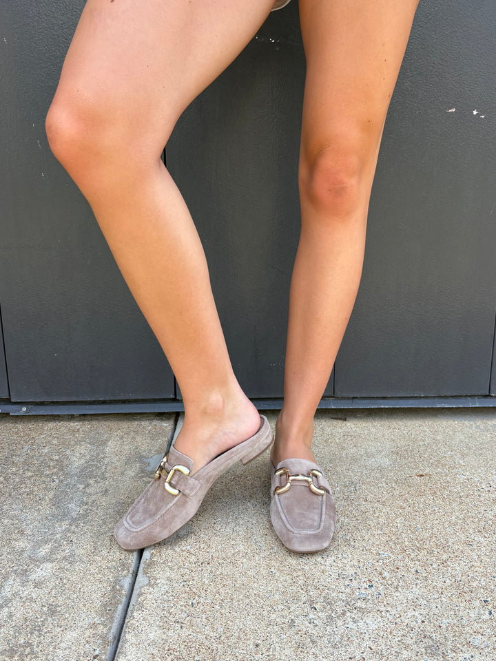 Vaneli Shaine in Military Suede