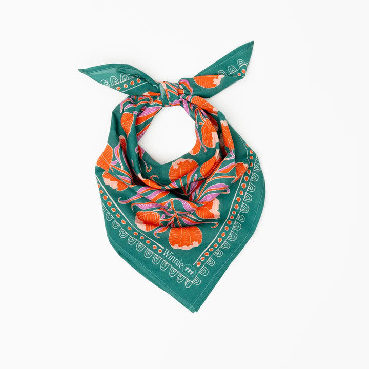 Winnie Scarf