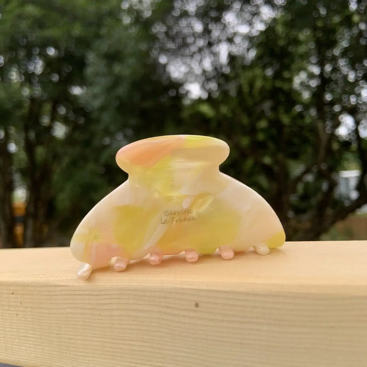Small Hair Claw Clip