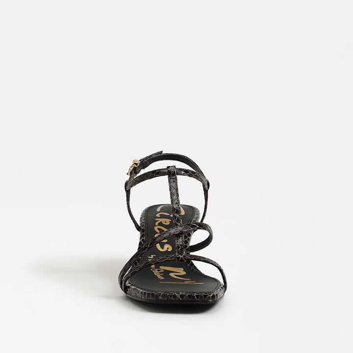 Circus By Sam Edelman Jaida Kitten Heel